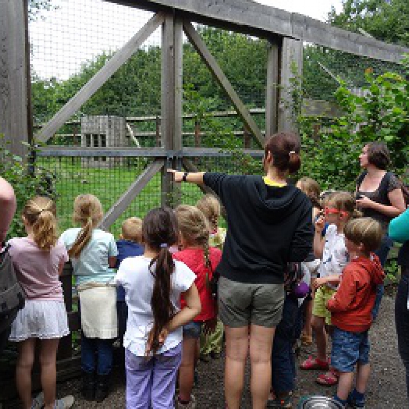 School & Group visits - De Zonnegloed - Animal park - Animal refuge centre 