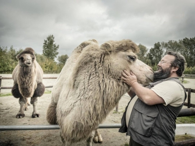 15/10/2017 - Geen enkele dierentuin heeft tien op tien
