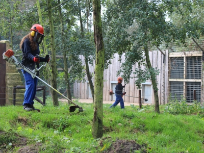 27/09/2017 - Jongeren helpen De Zonnegloed