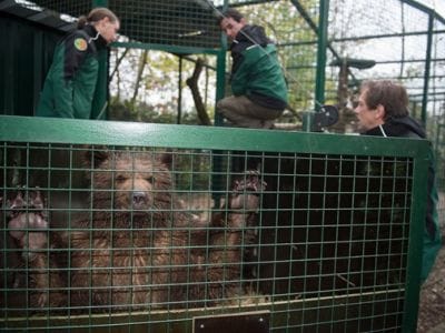 Bruine beer Berros mag verhuizen naar De Zonnegloed!