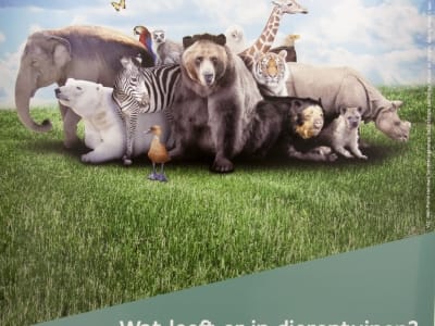 Studiedag 5 oktober: 'Het dierenwelzijn in de zoo van morgen' met Ben Weyts Vlaams minister van Dierenwelzijn